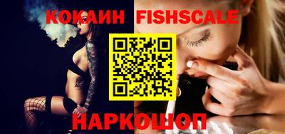гидра Кингисепп